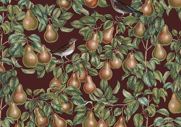 Pears, Russet - Twist&Fit Roman Blind - Image 7